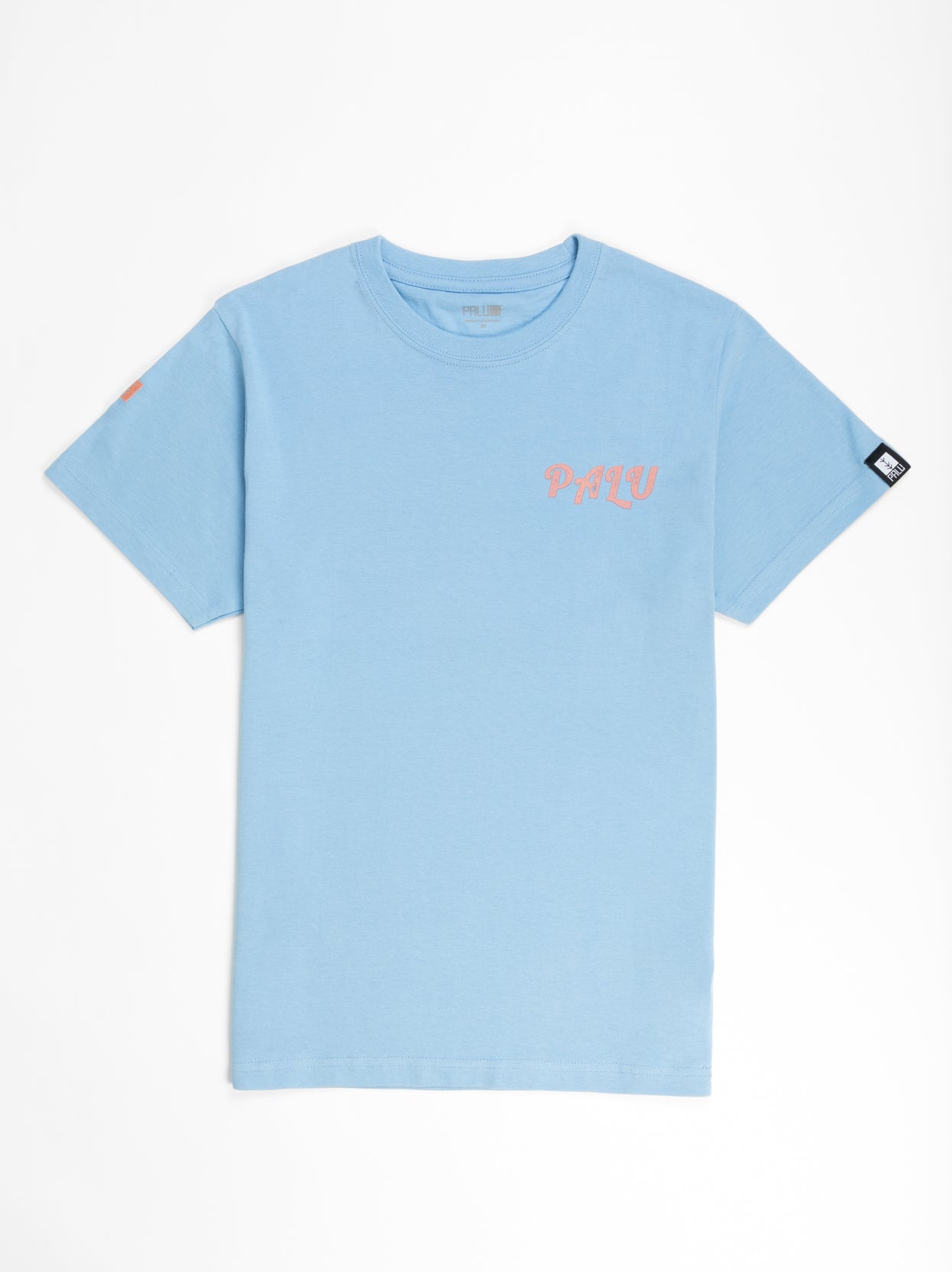 blue surfer front
