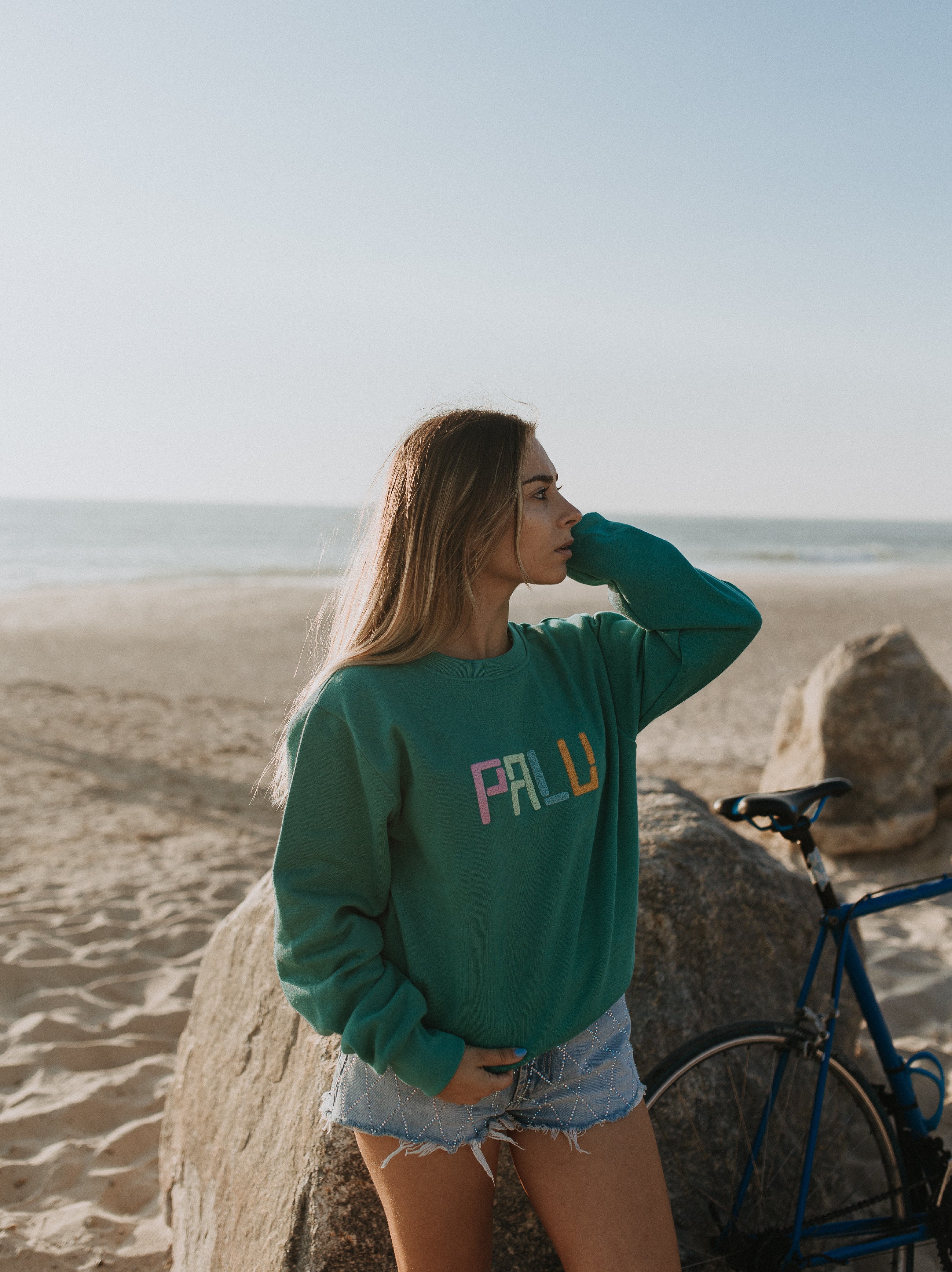 Travel Sweatshirt